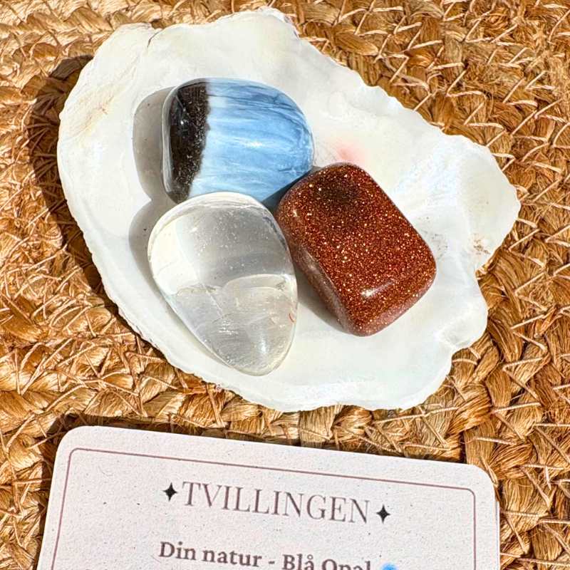 Tvilling Stjernetegnssæt - Billede 3